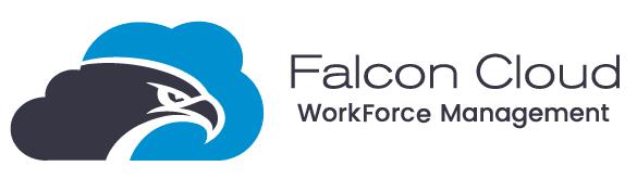Falcon Cloud